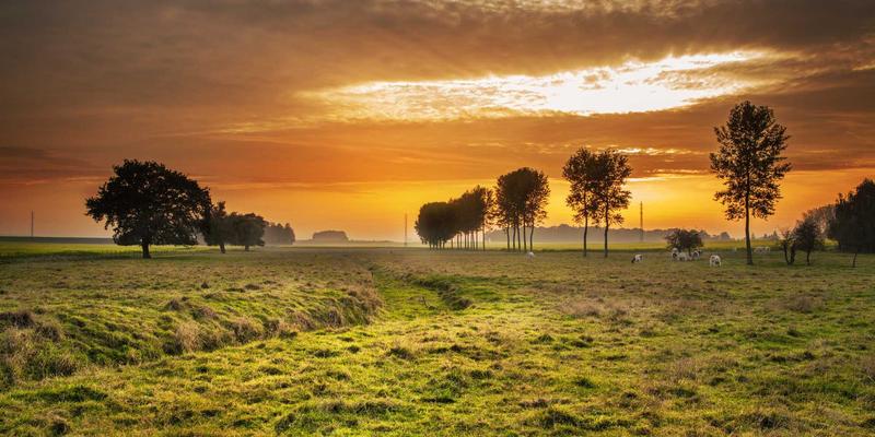 深圳亲子游乐场年卡全攻略：性价比分析、高峰避坑与隐藏福利，附婴儿用品及童装玩具选购贴士