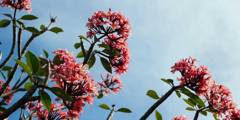 深圳亲子游泳馆深度测评：从水质安全到教练资质，新手爸妈必看的避坑指南