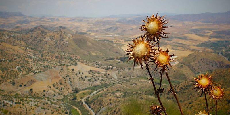 深圳儿童口腔诊所选择指南：从第一颗乳牙到涂氟防龋，守护宝宝灿烂笑容