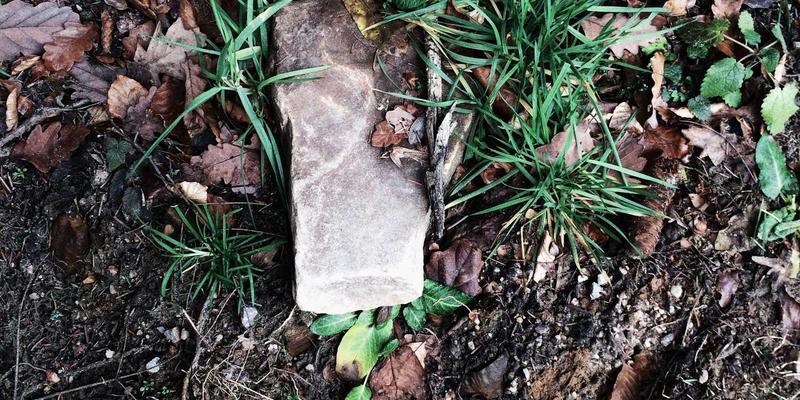 深圳大型母婴用品超市深度盘点：山姆与孩子王，谁更适合你的宝宝？