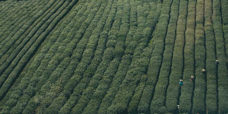 深圳宝宝游泳馆深度测评：水质安全、教练资质与亲子课程全解析