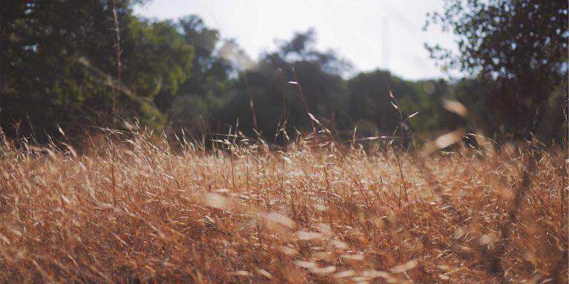 深圳母婴用品与早教中心全攻略：新手父母的品质选择指南