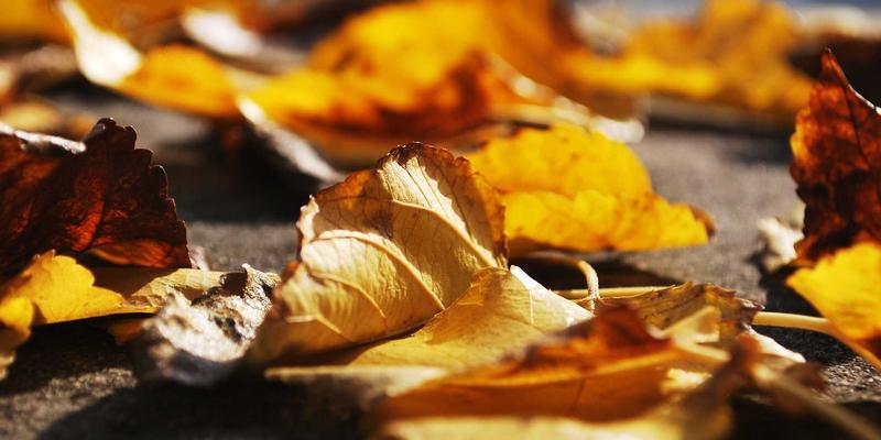 深圳母婴用品新趋势：从智能育儿到科学早教，揭秘鹏城父母消费新选择