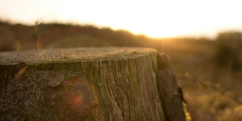 深圳育儿必备：儿童常见病家庭药箱科学配置清单与就医时机判断指南