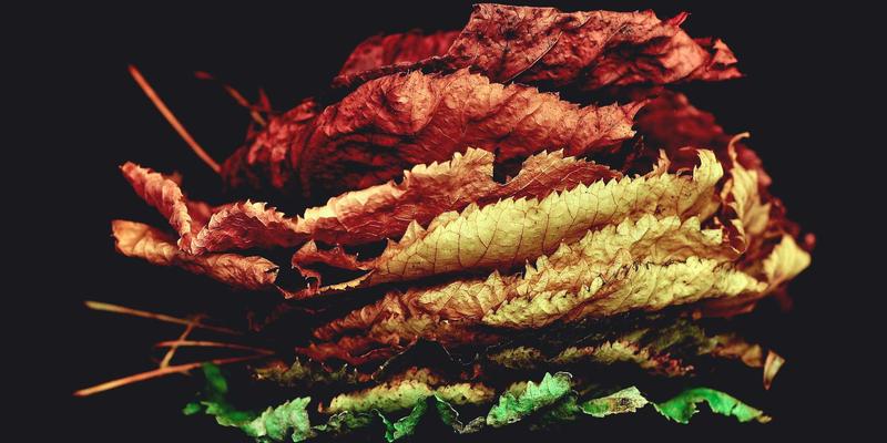 深圳育儿指南：婴幼儿过敏源筛查与特医奶粉购买全攻略，一站式解决童装玩具与婴儿用品需求